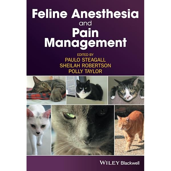 Canine and Feline Respiratory Medicine: 9781394233366: Medicine